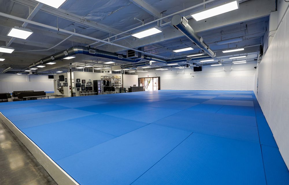 Study Finds Average BJJ Gym Website Contains 27 Lineage Photos, Zero Mention Of Class Times